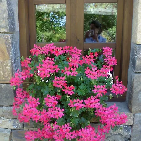 Gæstehus Casa Fidela