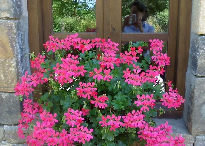 게스트하우스 Casa Fidela