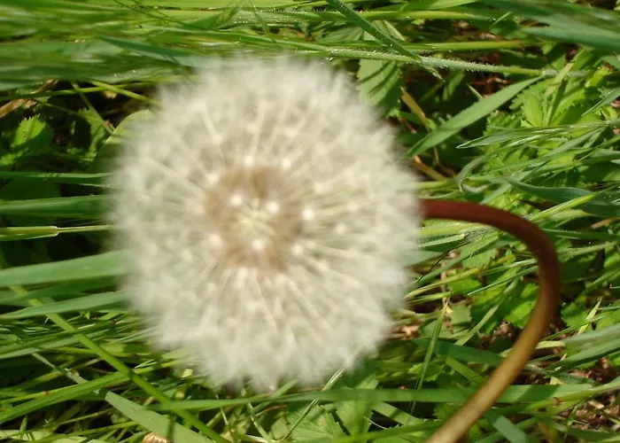 게스트하우스 Casa Fidela *